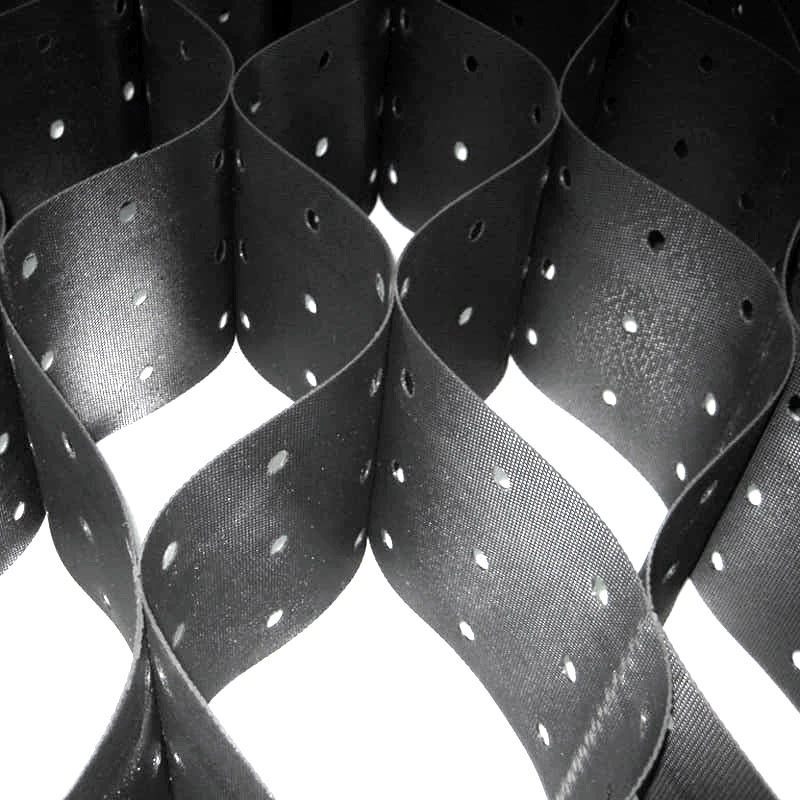 Георешетка с перфорацией 2400 x 12000 высота 200 мм.